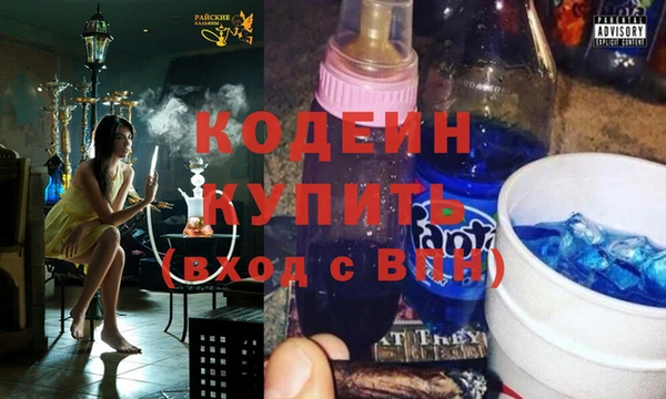 мдпв Верея